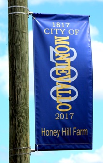 Honey Hill.jpg